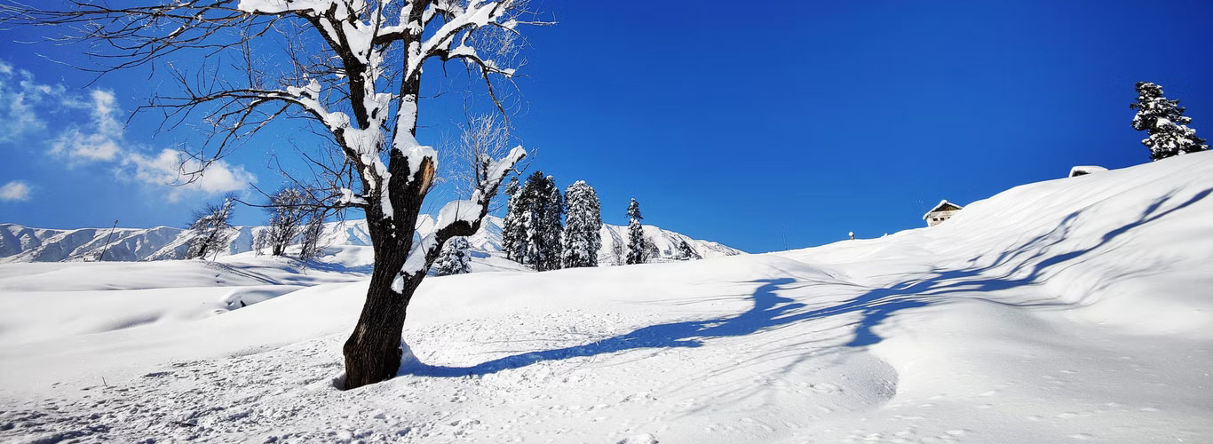 Gulmarg