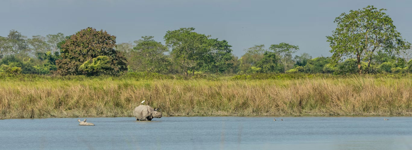 Kaziranga