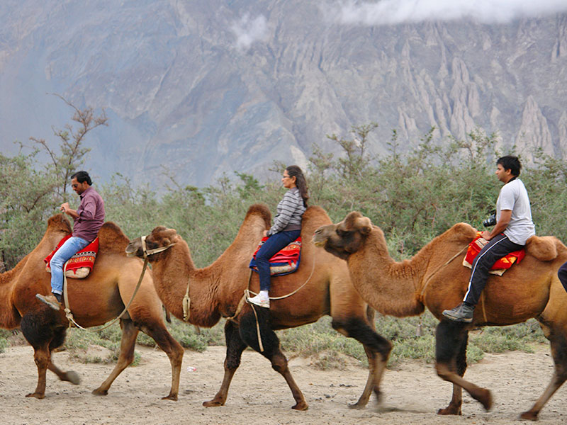 Nubra Valley