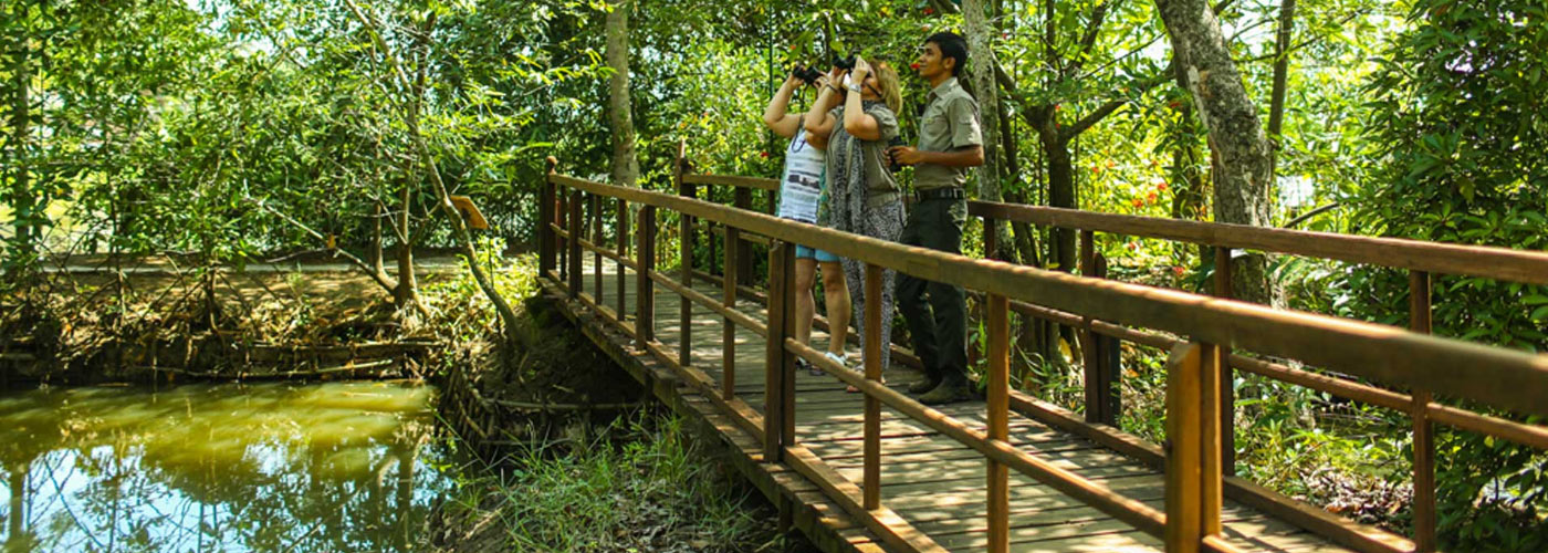 Coconut Lagoon - CGH Earth